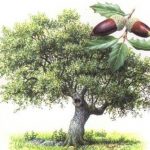 384ef39dff74bb37e5949751ab9b7b6b