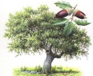 384ef39dff74bb37e5949751ab9b7b6b