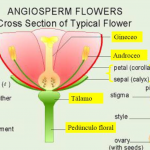 Captura de pantalla 2026-02-03 a las 19.29.39