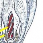 Captura de pantalla 2026-02-05 a las 13.20.53