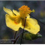 Captura de pantalla 2026-02-09 a las 17.24.25