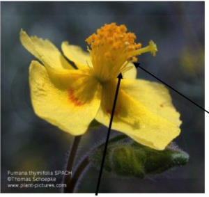 Captura de pantalla 2026-02-09 a las 17.24.25