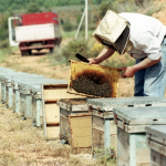 Captura de pantalla 2026-02-23 a las 15.50.31