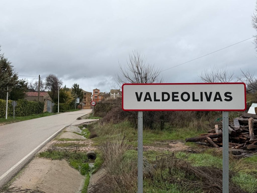 flora y botanica de Valdeolivas