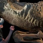 2cebbd3ab80c242e4854f9d4970c7d90