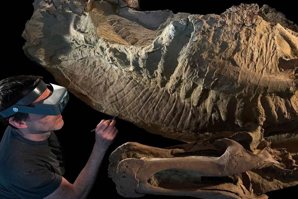 sedimentos de dinosaurios