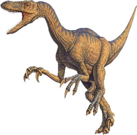 teropodo ave evolucion