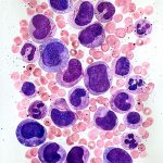 6eb8167393efd29772cab1868abfc7f2