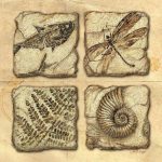 b2f94d144a6d6c4d99de0979a6fd6f97