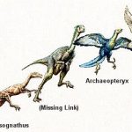 b905b69287fd0d4e690a61a841e55181