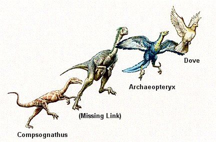 dinosaurios aves