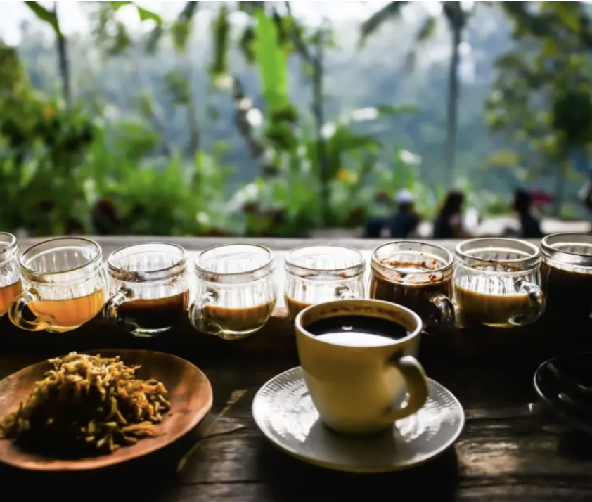 cafe kopi luwak bali