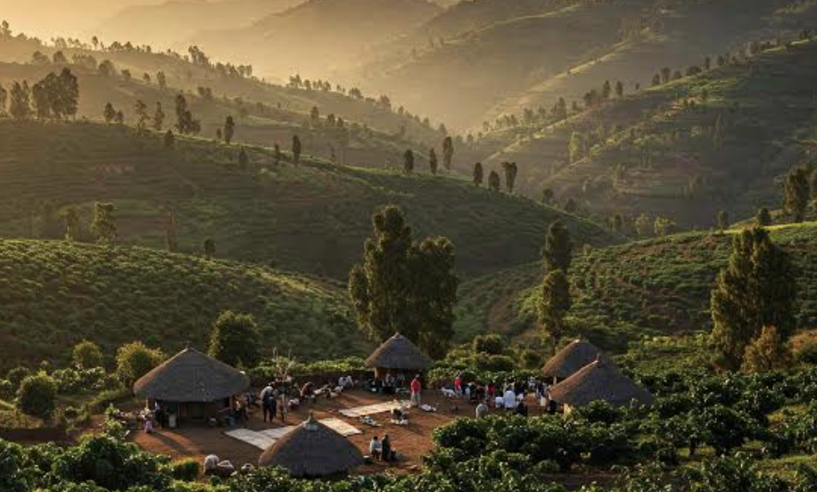 kaffa cafe etiopia