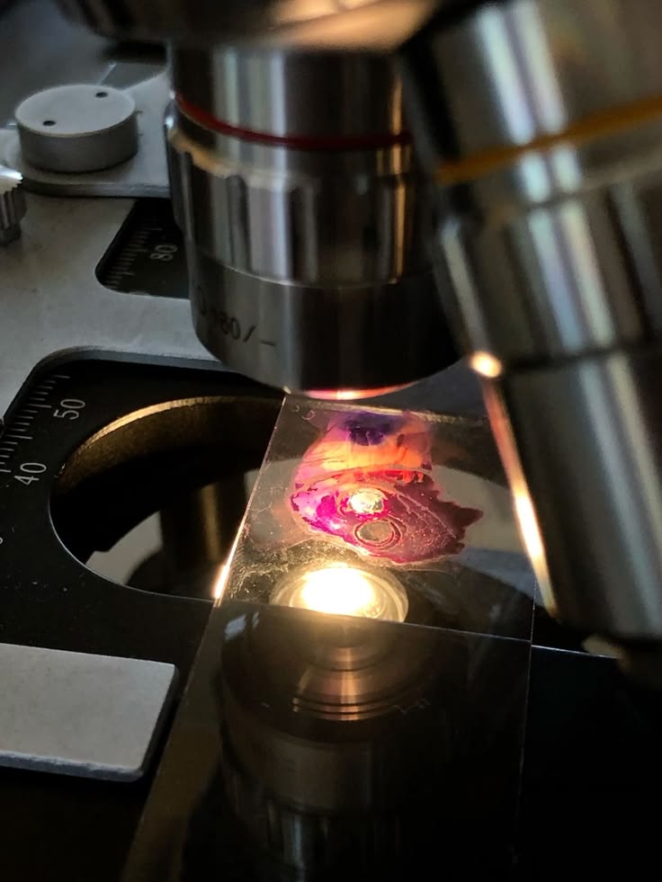 montaje microscopio