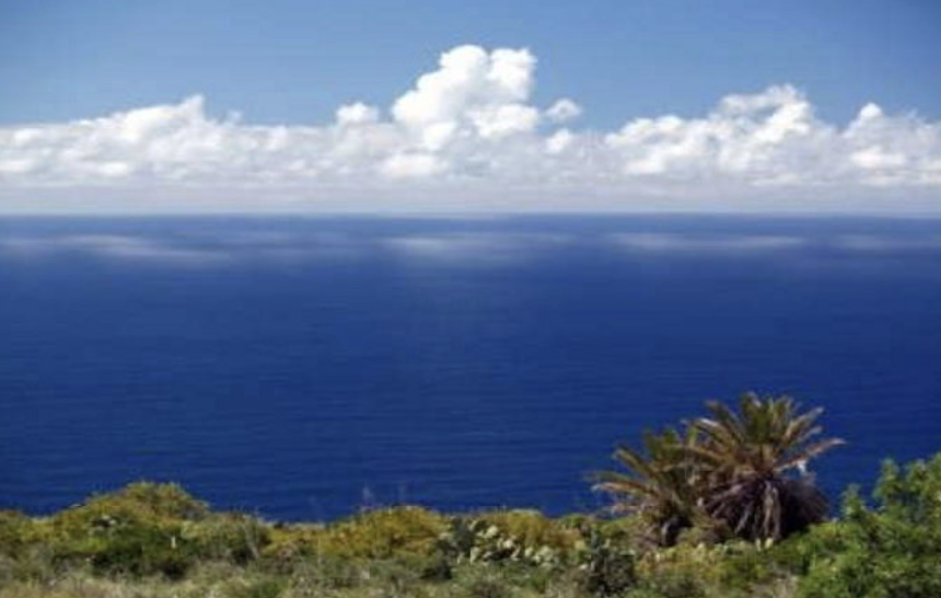 mar canario econsistema