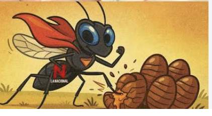 avispa se alimenta de huevos de cucaracha