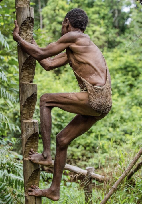 korowai papua nueva guinea