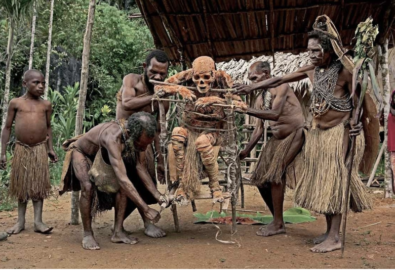 tribu canibal 2026