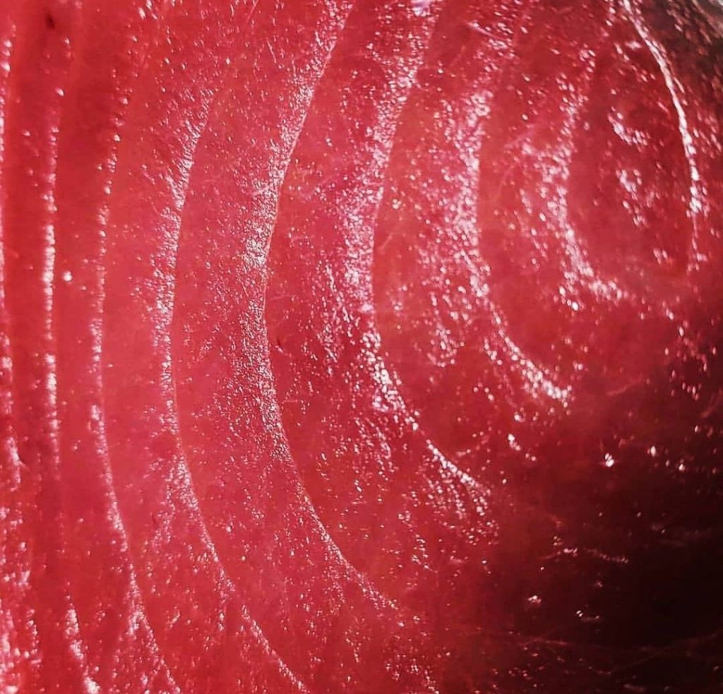 oro rojo de melkart atunes rojos