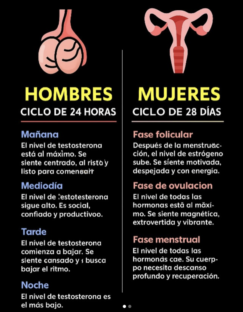 evolucion hormonal 