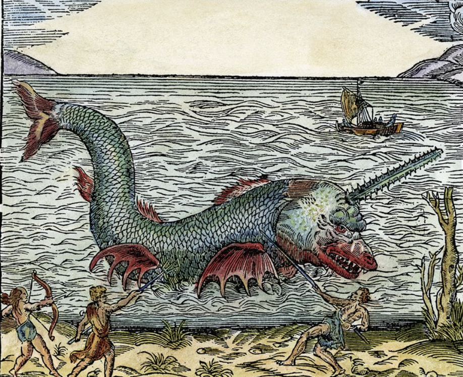 unicornio de mar mitologia