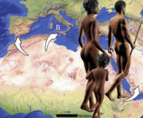 homo sapiens europa spania
