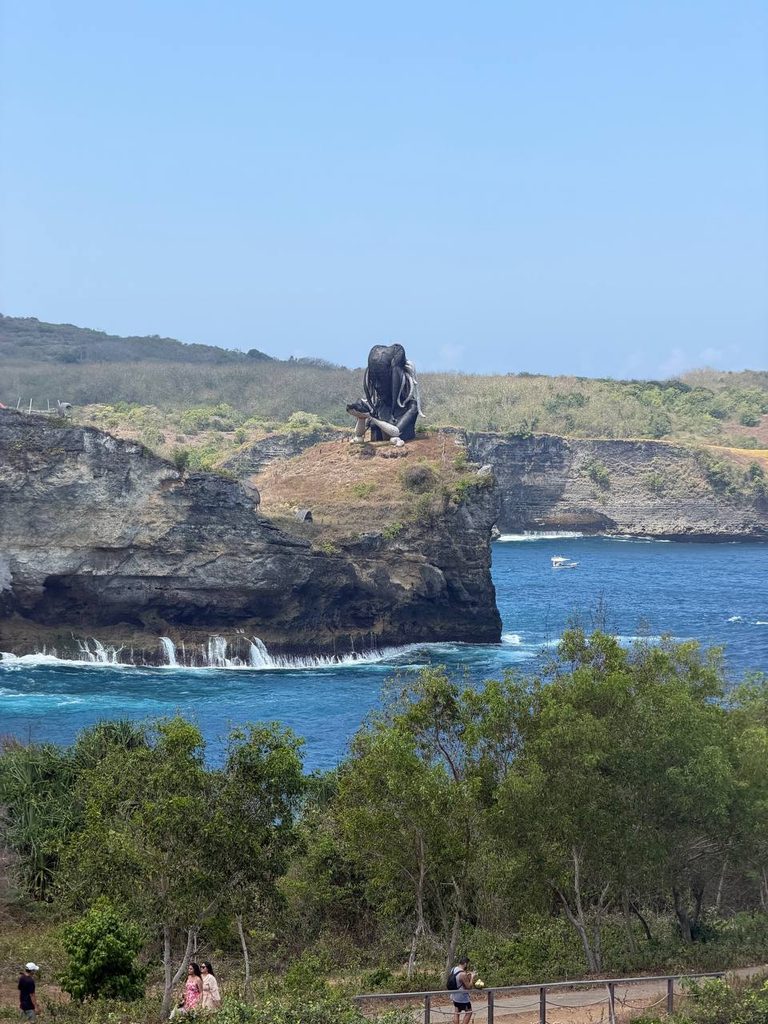 optopus queen nusa penida