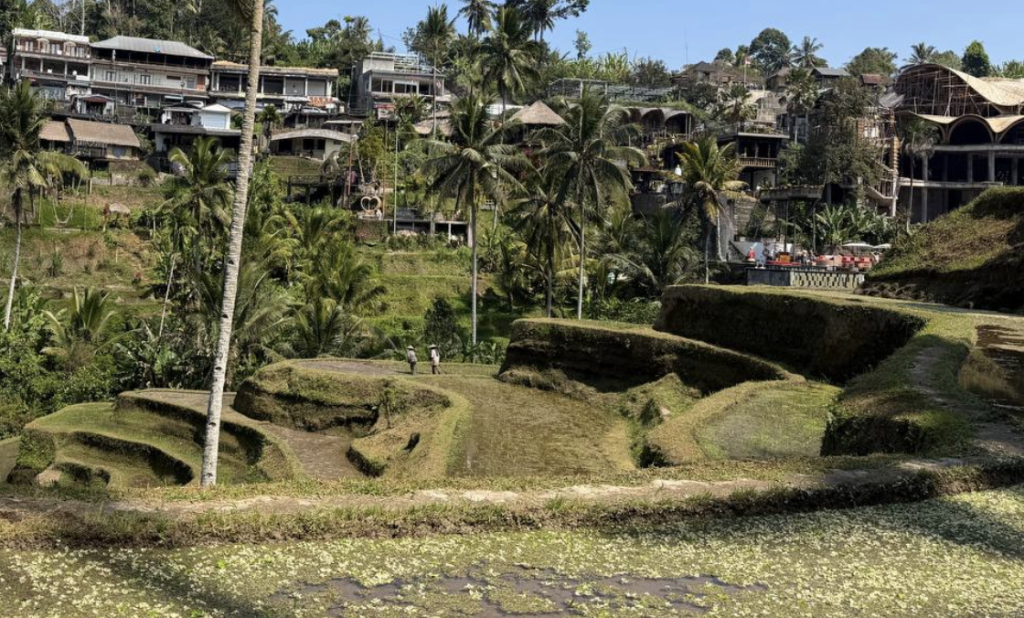 terrace ubud people