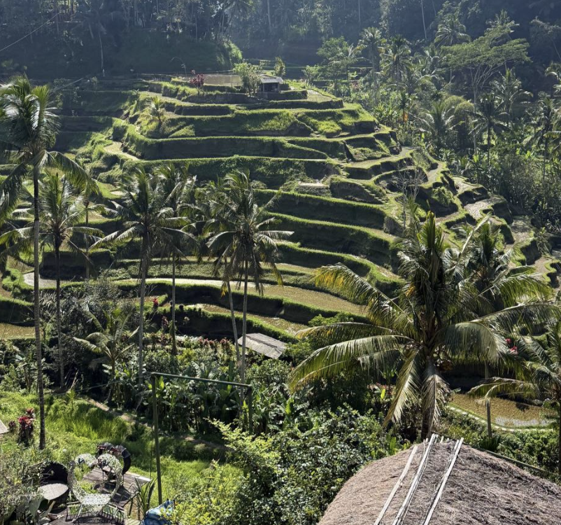 escalera terrazas de arroz ubud