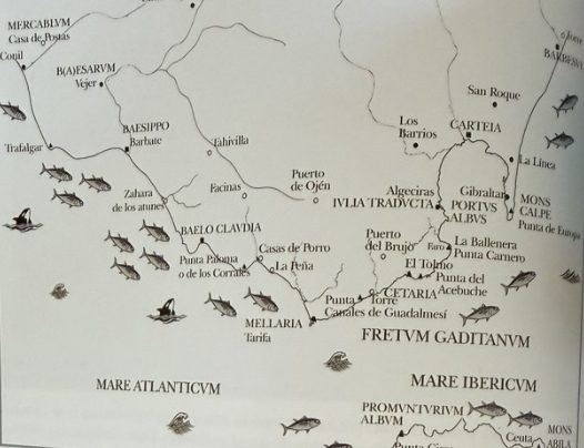 migración del atún