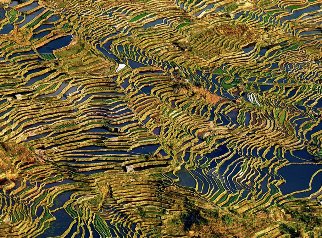 yunnan terrazas de arroz china