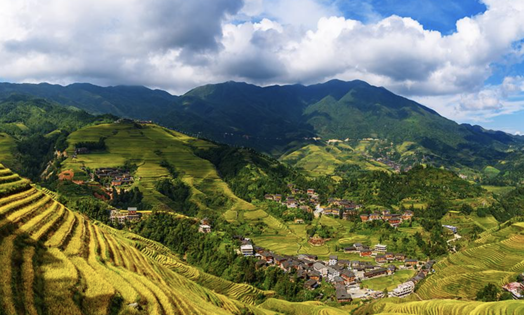Longji, China: Las Terrazas De La Espina Dorsal Del Dragón
