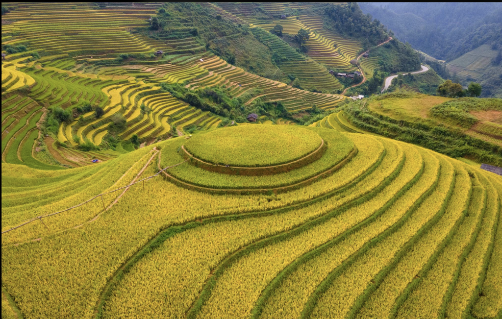 Mù Cang Chải, Vietnam